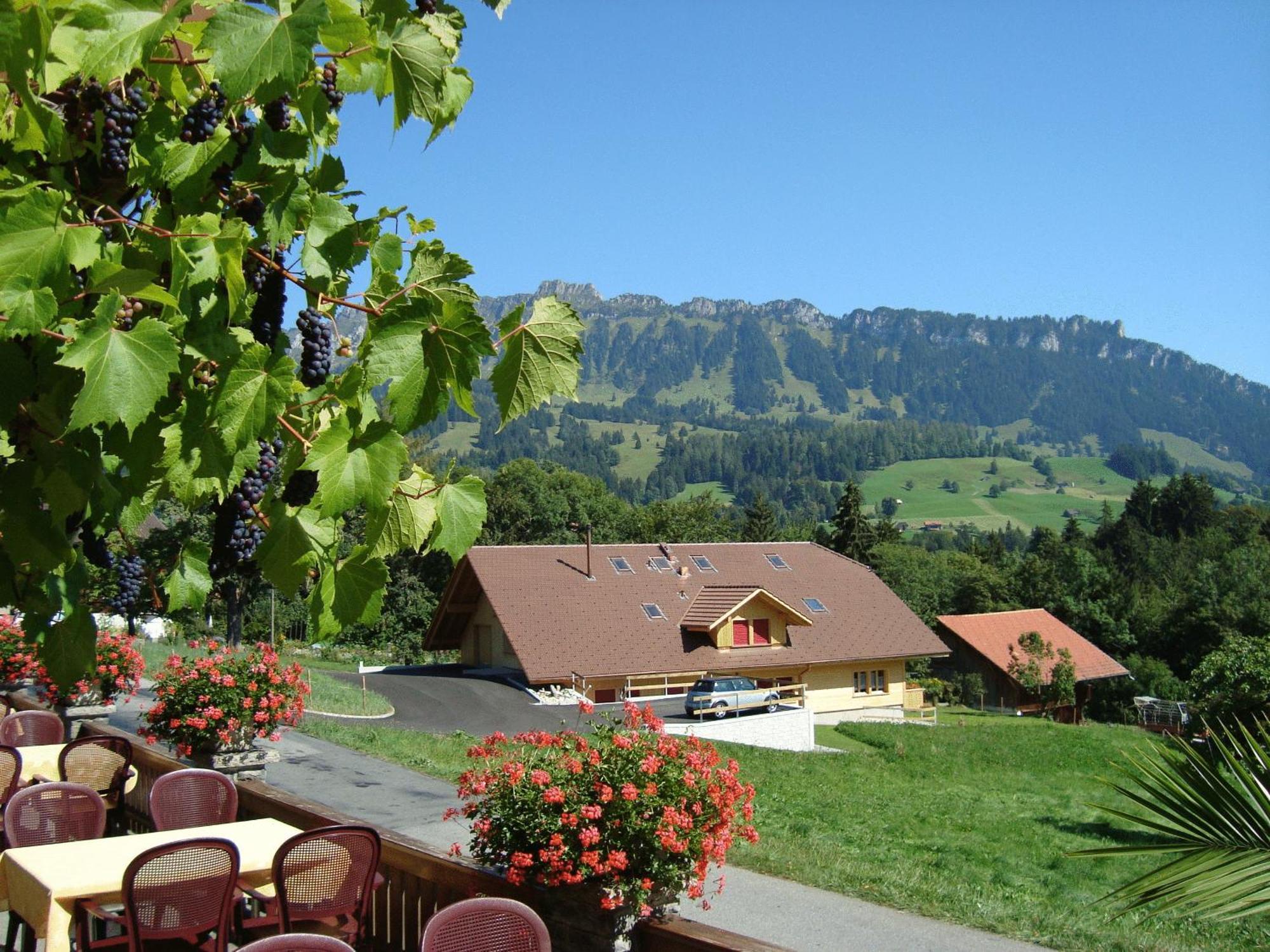 Hotel Rothorn Vintage-Style Зигрисвиль Экстерьер фото